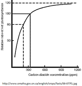 CO2 vs plant growth