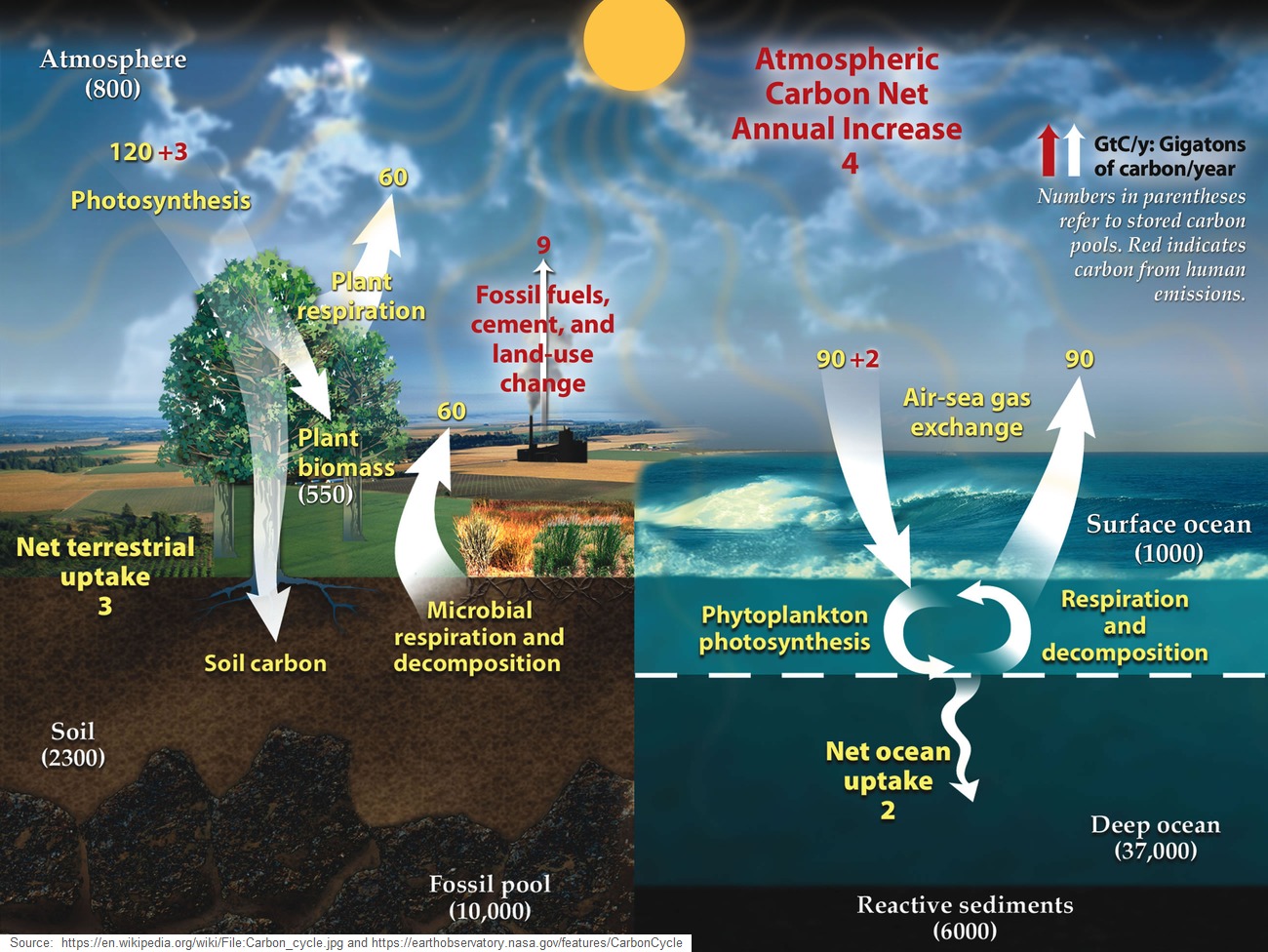 Movement of carbon between land, atmosphere, and ocean in billions of tons per year.