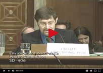 Prof. J. Scott Armstrong's 2008 U.S. Senate testimony