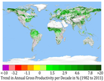 Greening Earth: spatial patterns